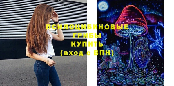 mdpv Ельня