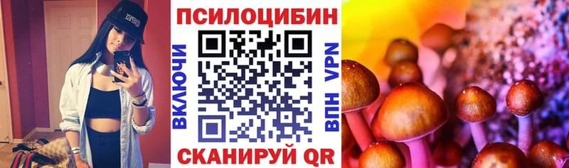 Псилоцибиновые грибы мицелий  как найти   Заволжье 