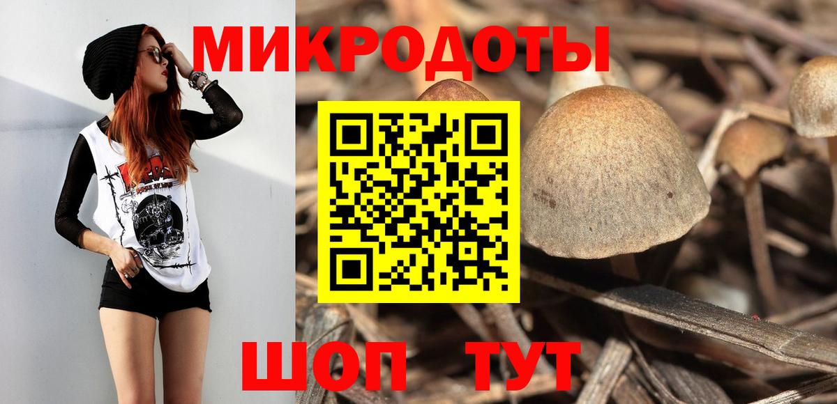 Заволжье  Псилоцибиновые грибы Magic Shrooms  Псилоцибиновые грибы Psilocybe  Вход с VPN 